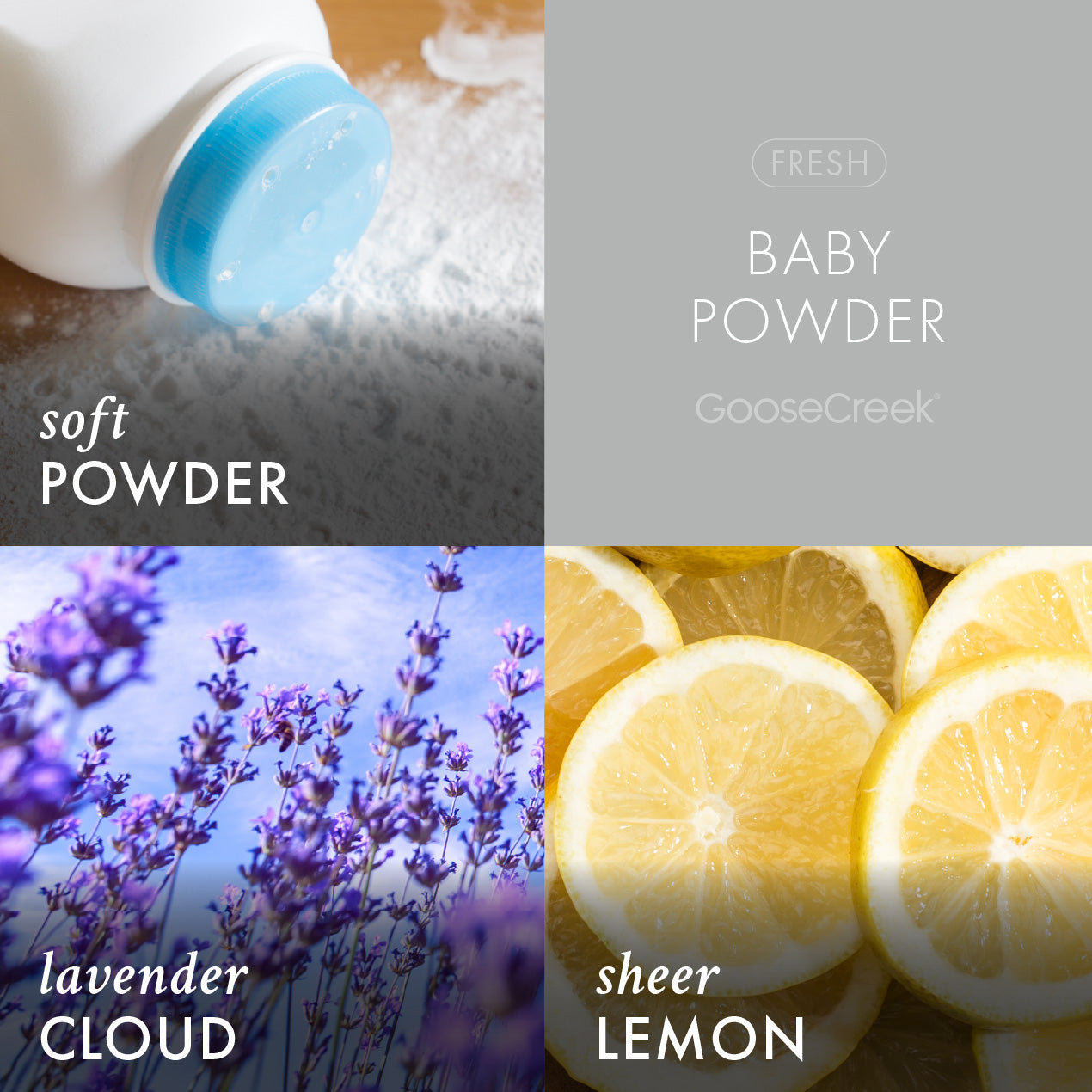 Baby Powder Wax Melt