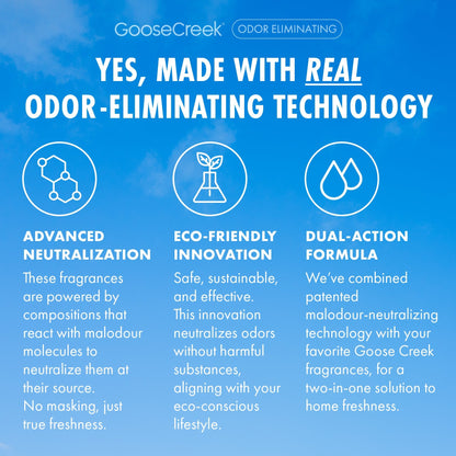 Cliffside Sea Spray Odor Eliminating Plug-in Refill
